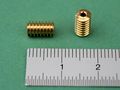Bild: Grossansicht Schnecke Modul 0,3 / 4,5 mm � x 8 mm � L&auml;nge