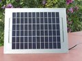 Bild: Grossansicht Solarmodul 12 Volt / 10 Watt