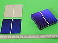 Bild: Grossansicht 50 Solarzellen (lose Solarzelle)